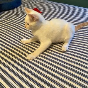 Meet your Posher, Inger